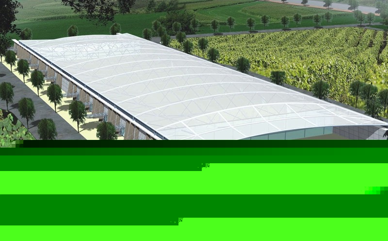Vik Winery Plant_800.jpg